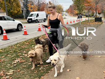 A professional dog walker is in Vaughan, Ontario, Canada, on October 31, 2024. (