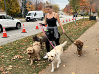 A professional dog walker is in Vaughan, Ontario, Canada, on October 31, 2024. (