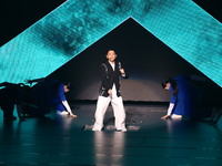 Singer Andy Lau performs at the Taipei Arena during the first leg of his ''Today is the Day'' tour in Taipei, Taiwan province, China, on Nov...