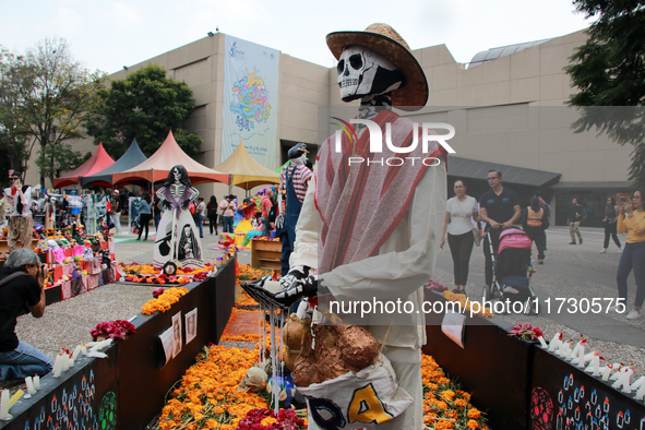 An offering on the occasion of the Day of the Dead is seen during the twenty-seventh edition of the University Day of the Dead Festival ''Me...