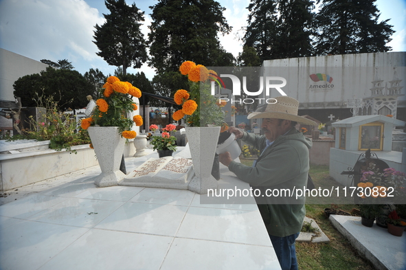 A person decorates the graves of his loved ones with cempasuchil flowers and holds a vigil at the Municipal Cemetery of Amealco de Bonfil. A...