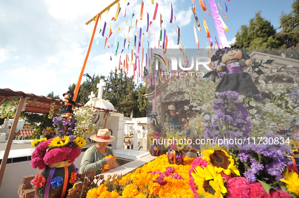 A person decorates the graves of her loved ones with cempasuchil flowers and holds a vigil at the Municipal Cemetery of Amealco de Bonfil. A...