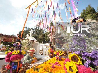 A person decorates the graves of her loved ones with cempasuchil flowers and holds a vigil at the Municipal Cemetery of Amealco de Bonfil. A...