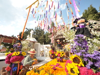 A person decorates the graves of her loved ones with cempasuchil flowers and holds a vigil at the Municipal Cemetery of Amealco de Bonfil. A...