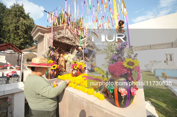 A person decorates the graves of her loved ones with cempasuchil flowers and holds a vigil at the Municipal Cemetery of Amealco de Bonfil. A...