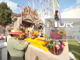 A person decorates the graves of her loved ones with cempasuchil flowers and holds a vigil at the Municipal Cemetery of Amealco de Bonfil. A...