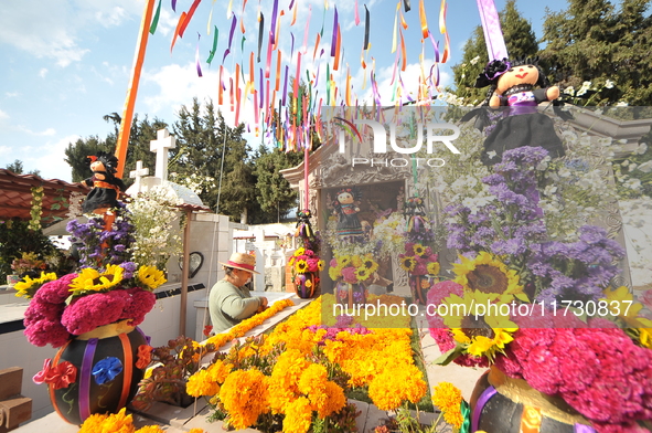 A person decorates the graves of her loved ones with cempasuchil flowers and holds a vigil at the Municipal Cemetery of Amealco de Bonfil. A...