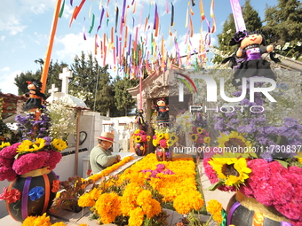 A person decorates the graves of her loved ones with cempasuchil flowers and holds a vigil at the Municipal Cemetery of Amealco de Bonfil. A...