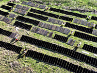 Farmers dry freshly harvested laver in Fuzhou, China, on November 2, 2024. (