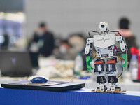 Visitors watch a robot perform at the China Robot Competition in Xi'an, China, on November 2, 2024. (