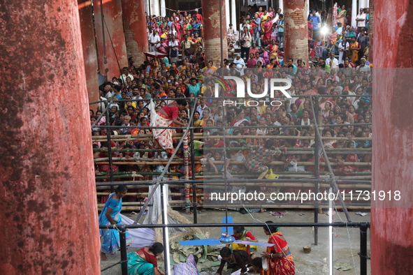 Hindu devotees cross the barricades to collect rice as offerings distributed by the temple authority on the occasion of the Annakut festival...