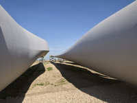 A large crane assembles a wind turbine in the rolling hills of Castelluccio dei Sauri, Foggia, Italy, on November 1, 2024. This wind farm ex...