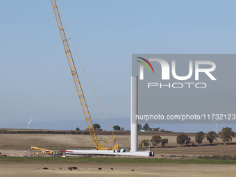 A large crane assembles a wind turbine in the rolling hills of Castelluccio dei Sauri, Foggia, Italy, on November 1, 2024. This wind farm ex...