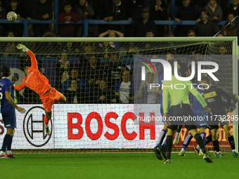 Sam Tickle of Wigan Athletic makes a save during the FA Cup First Round match between Carlisle United and Wigan Athletic at Brunton Park in...