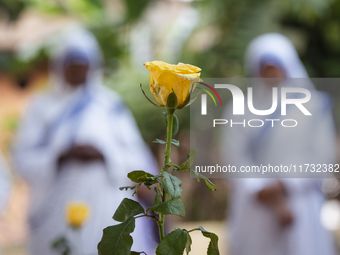 Nuns offer prayers on the grave during the All Souls' Day observation in Guwahati, India, on November 2, 2024. All Souls' Day is a Christian...