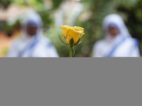 Nuns offer prayers on the grave during the All Souls' Day observation in Guwahati, India, on November 2, 2024. All Souls' Day is a Christian...