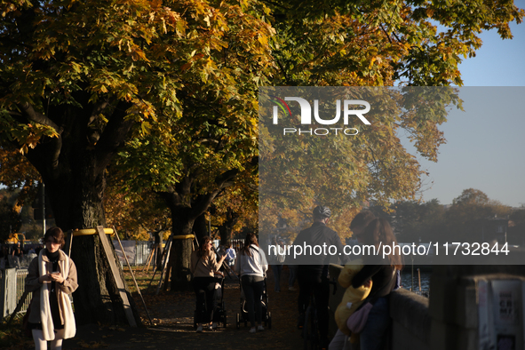 People walk among trees with autumn yellow leaves in Krakow, Poland, on October 19, 2024. 