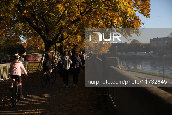 People walk among trees with autumn yellow leaves in Krakow, Poland, on October 19, 2024. 