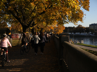 People walk among trees with autumn yellow leaves in Krakow, Poland, on October 19, 2024. (