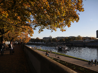 People walk among trees with autumn yellow leaves in Krakow, Poland, on October 19, 2024. (