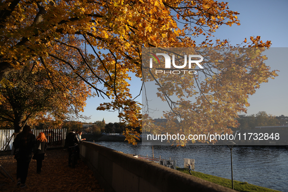 People walk among trees with autumn yellow leaves in Krakow, Poland, on October 19, 2024. 