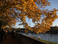 People walk among trees with autumn yellow leaves in Krakow, Poland, on October 19, 2024. (