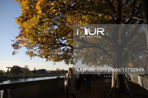 People walk among trees with autumn yellow leaves in Krakow, Poland, on October 19, 2024. 