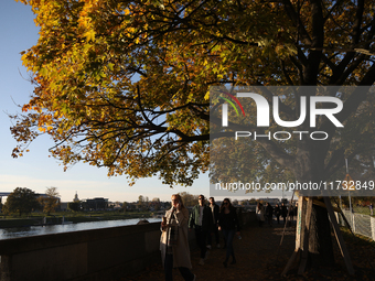 People walk among trees with autumn yellow leaves in Krakow, Poland, on October 19, 2024. (