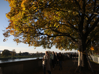 People walk among trees with autumn yellow leaves in Krakow, Poland, on October 19, 2024. (