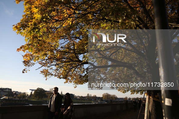 People walk among trees with autumn yellow leaves in Krakow, Poland, on October 19, 2024. 