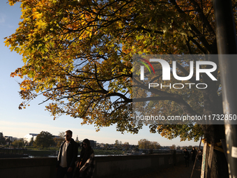 People walk among trees with autumn yellow leaves in Krakow, Poland, on October 19, 2024. (