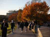 People walk among trees with autumn yellow leaves in Krakow, Poland, on October 19, 2024. (