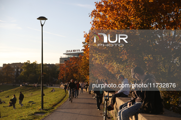 People walk among trees with autumn yellow leaves in Krakow, Poland, on October 19, 2024. 