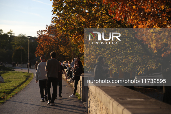 People walk among trees with autumn yellow leaves in Krakow, Poland, on October 19, 2024. 