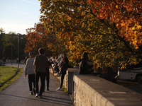 People walk among trees with autumn yellow leaves in Krakow, Poland, on October 19, 2024. (