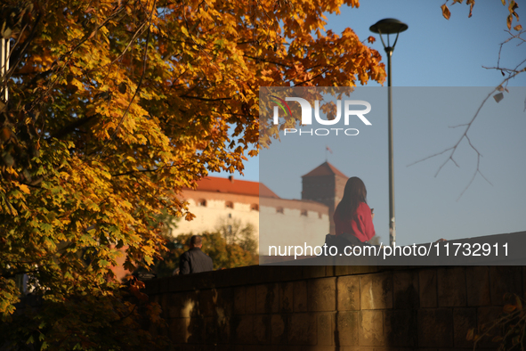 A woman sits among trees with autumn yellow leaves in Krakow, Poland, on October 19, 2024. 