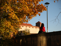 A woman sits among trees with autumn yellow leaves in Krakow, Poland, on October 19, 2024. (