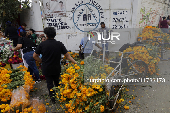 The view is outside the Tecomitl community pantheon located on the southern edge of Mexico City, Mexico, on November 2, 2024, where dozens o...