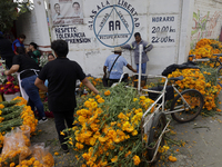 The view is outside the Tecomitl community pantheon located on the southern edge of Mexico City, Mexico, on November 2, 2024, where dozens o...