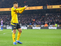 Joao Gomes of Wolves gestures to the fans following his goal during the Premier League match between Wolverhampton Wanderers and Crystal Pal...