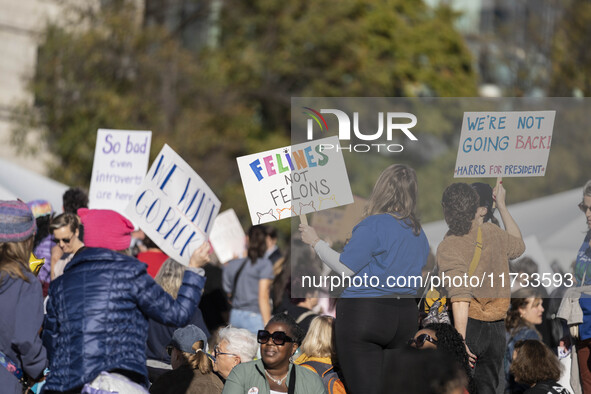 The women's march takes place in Washington, D.C., on November 2, 2024, where thousands of people gather at Freedom Plaza. Eight counter-pro...