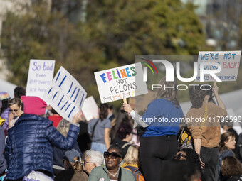 The women's march takes place in Washington, D.C., on November 2, 2024, where thousands of people gather at Freedom Plaza. Eight counter-pro...