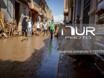 Thousands of volunteers participate in cleaning the areas affected by the floods of October 29 in Valencia. Towns such as Massanassa, Alfafa...