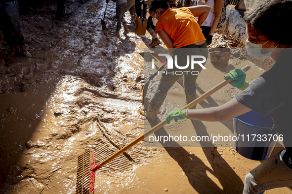 Thousands of volunteers participate in cleaning the areas affected by the floods of October 29 in Valencia. Towns such as Massanassa, Alfafa...