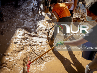 Thousands of volunteers participate in cleaning the areas affected by the floods of October 29 in Valencia. Towns such as Massanassa, Alfafa...