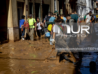 Thousands of volunteers participate in cleaning the areas affected by the floods of October 29 in Valencia. Towns such as Massanassa, Alfafa...