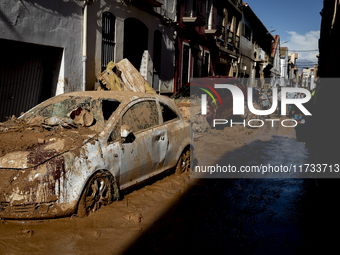 Thousands of volunteers participate in cleaning the areas affected by the floods of October 29 in Valencia. Towns such as Massanassa, Alfafa...