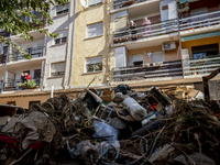 Thousands of volunteers participate in cleaning the areas affected by the floods of October 29 in Valencia. Towns such as Massanassa, Alfafa...