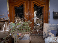 Thousands of volunteers participate in cleaning the areas affected by the floods of October 29 in Valencia. Towns such as Massanassa, Alfafa...