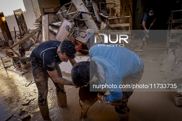 Thousands of volunteers participate in cleaning the areas affected by the floods of October 29 in Valencia. Towns such as Massanassa, Alfafa...